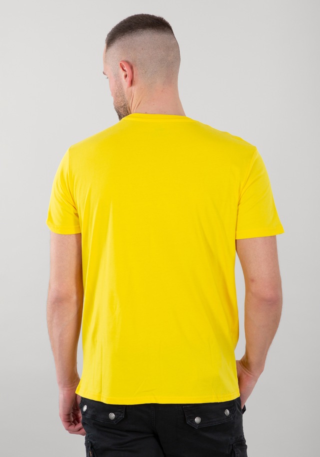 Alpha Industries T-Shirt »Basic BL T-Shirt«