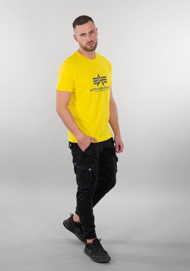 Alpha Industries T-Shirt »Basic BL T-Shirt«