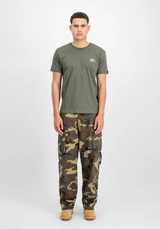 Alpha Industries T-Shirt »Backprint T-Shirt«