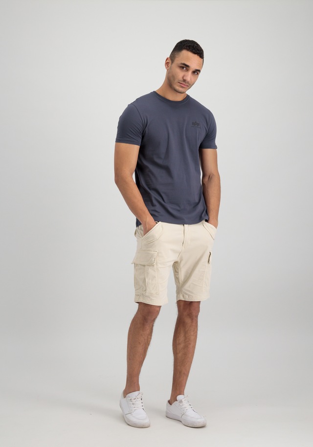 Alpha Industries T-Shirt »Backprint T-Shirt«