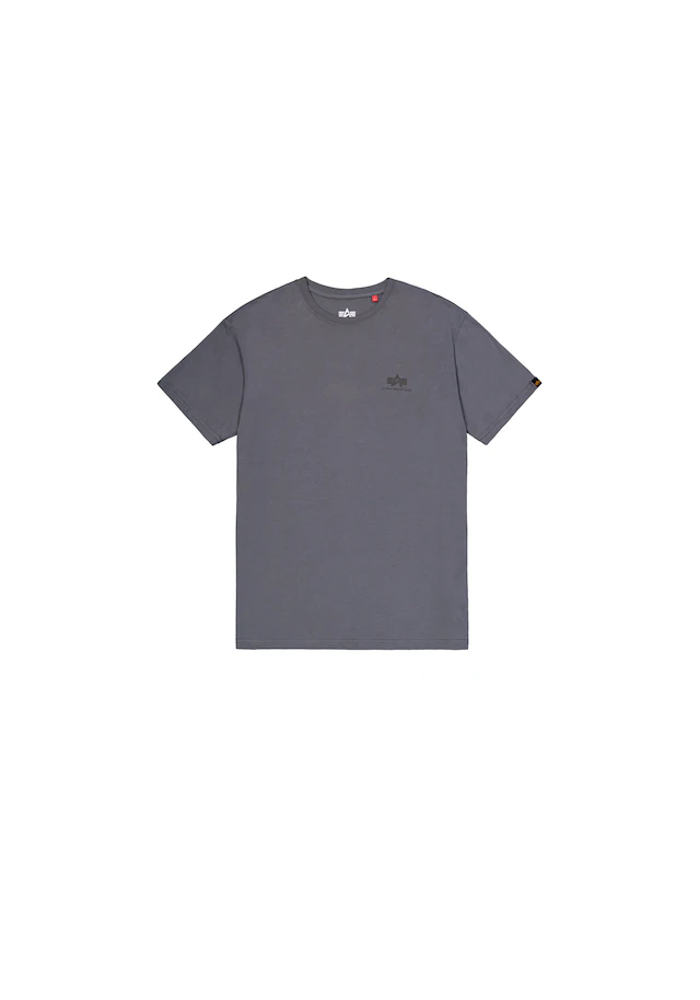 Alpha Industries T-Shirt »Backprint T-Shirt«