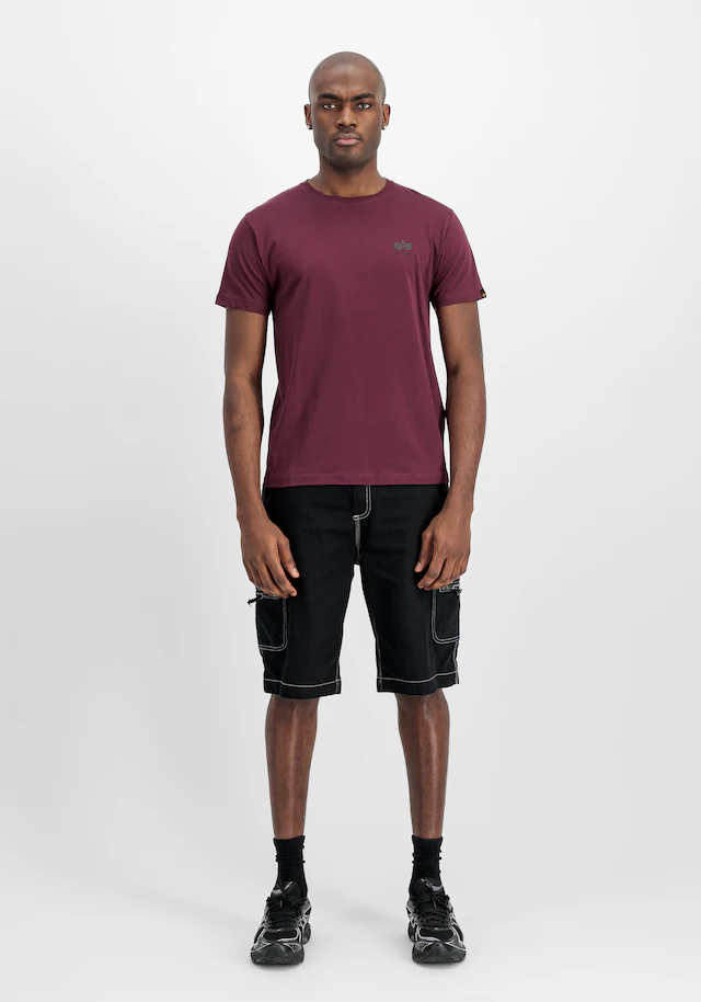 Alpha Industries T-Shirt »Backprint T-Shirt«