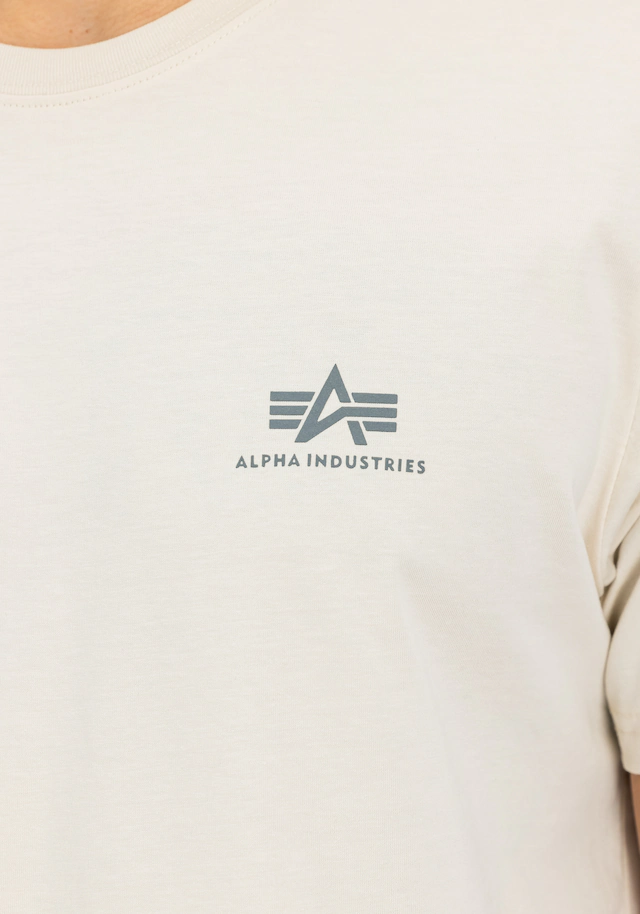 Alpha Industries T-Shirt »Backprint T-Shirt«