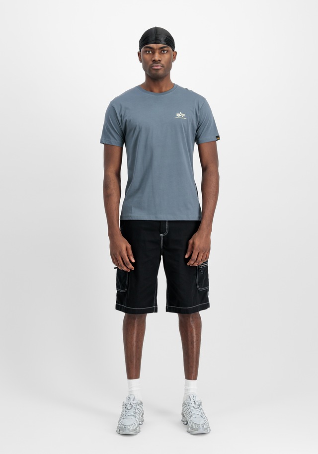 Alpha Industries T-Shirt »Backprint T-Shirt«