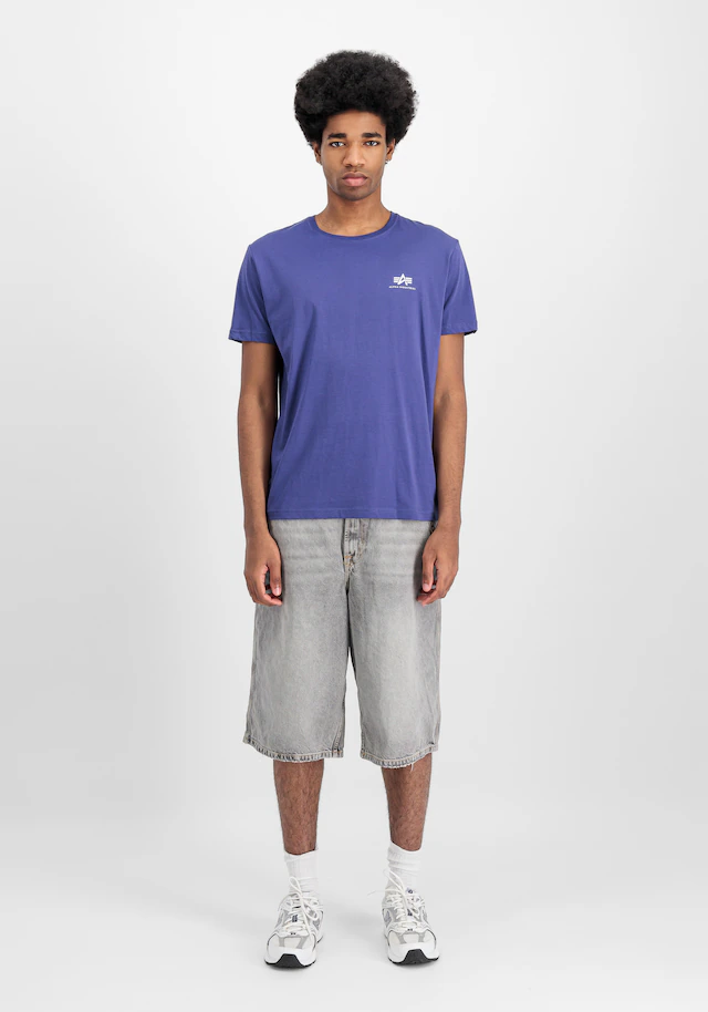 Alpha Industries T-Shirt »Backprint T-Shirt«