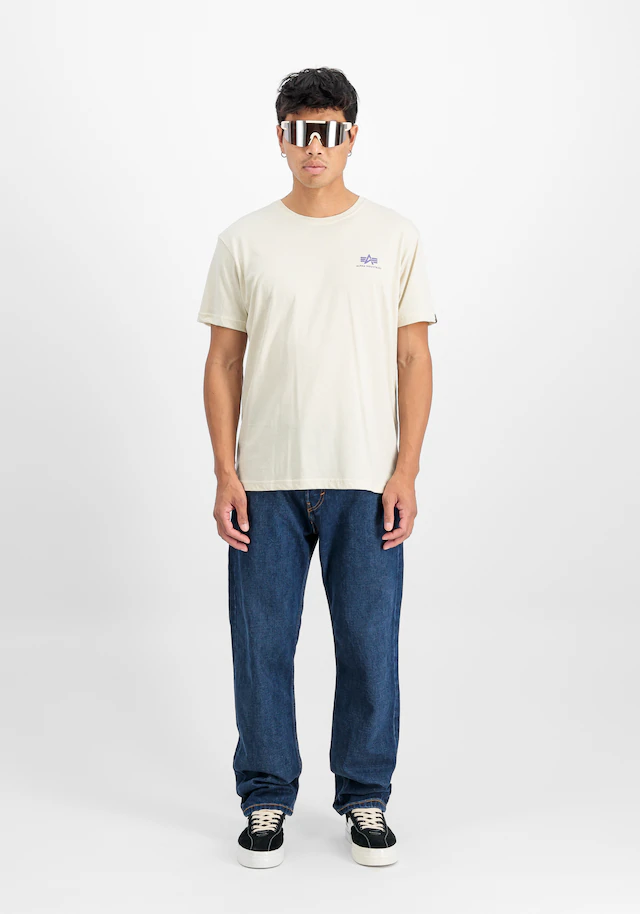 Alpha Industries T-Shirt »Backprint T-Shirt«