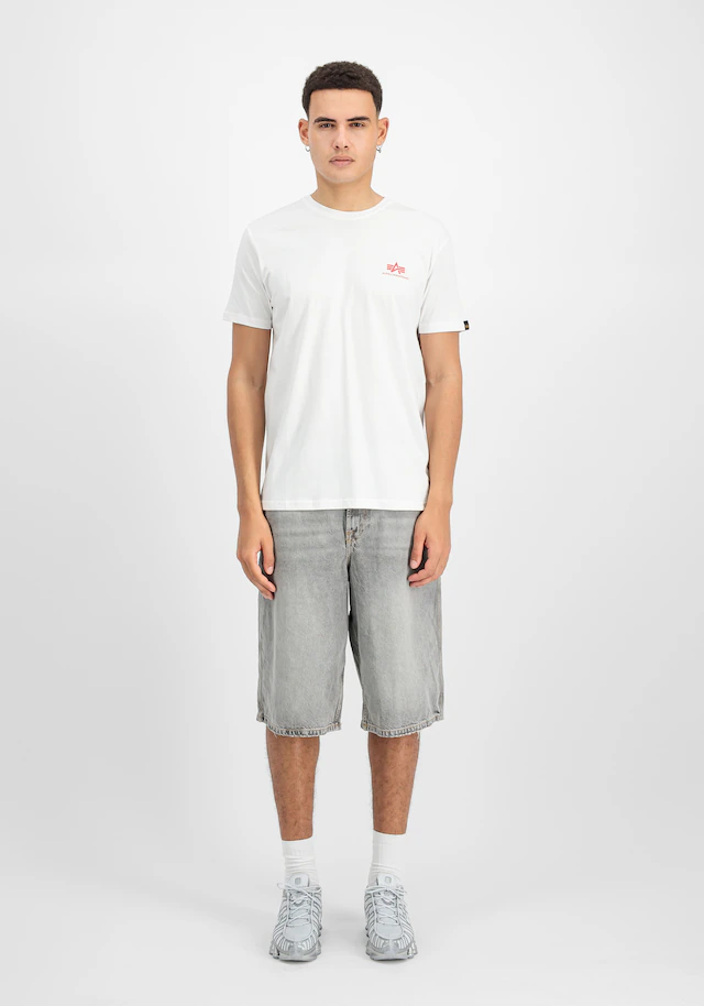 Alpha Industries T-Shirt »Backprint T-Shirt«