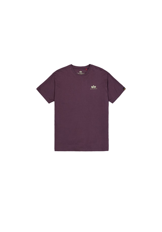 Alpha Industries T-Shirt »Backprint T-Shirt«