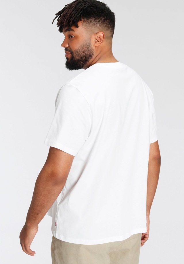 Levi's® Plus T-Shirt »LE B&T BIG GRAPHIC TEE« mit Logofrontprint