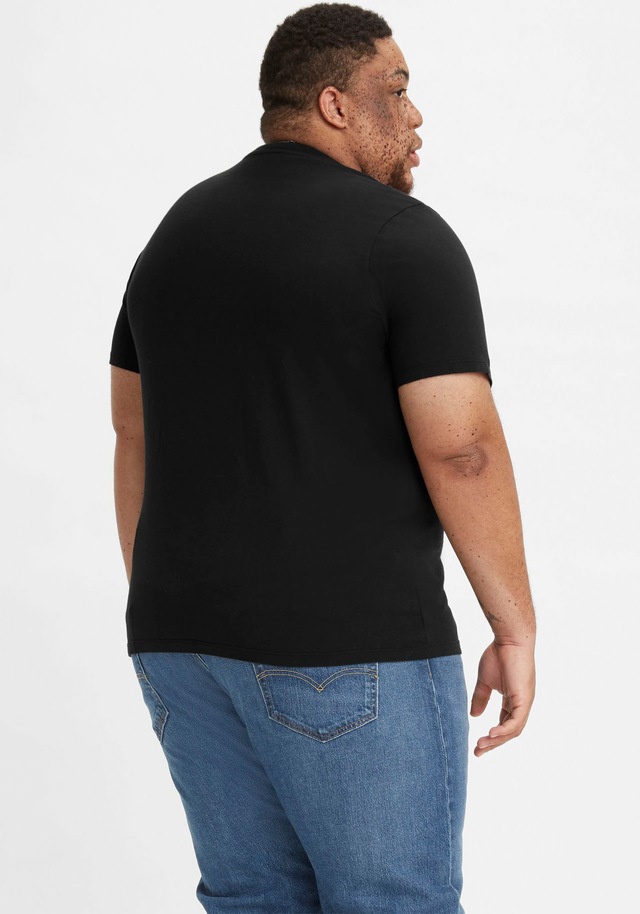 Levi's® Plus T-Shirt »LE B&T BIG GRAPHIC TEE« mit Logofrontprint