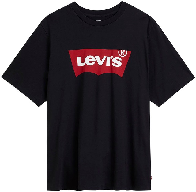 Levi's® Plus T-Shirt »LE B&T BIG GRAPHIC TEE« mit Logofrontprint