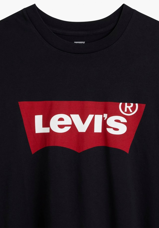 Levi's® Plus T-Shirt »LE B&T BIG GRAPHIC TEE« mit Logofrontprint