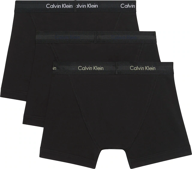 Calvin Klein Underwear Trunk »TRUNK 3PK« Packung, 3er-Pack, 3 Stk. mit Logo-Elastikbund