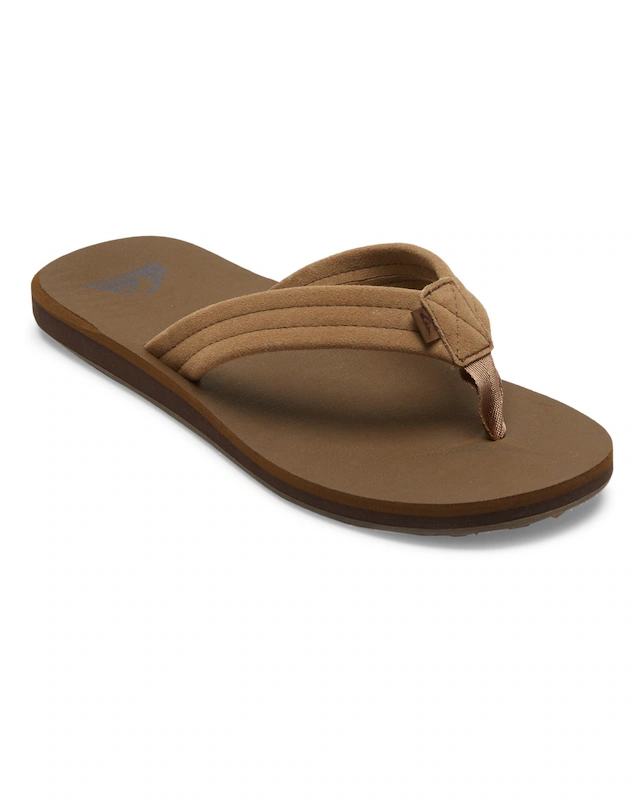 Quiksilver Sandale »Carver Suede Core«