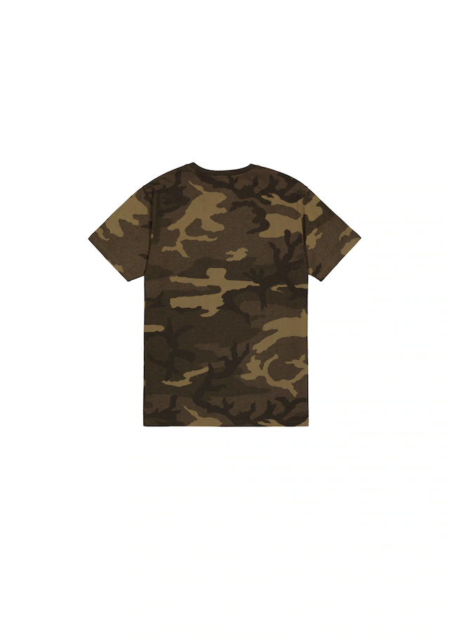 Alpha Industries T-Shirt »Basic BL Camo T-Shirt«