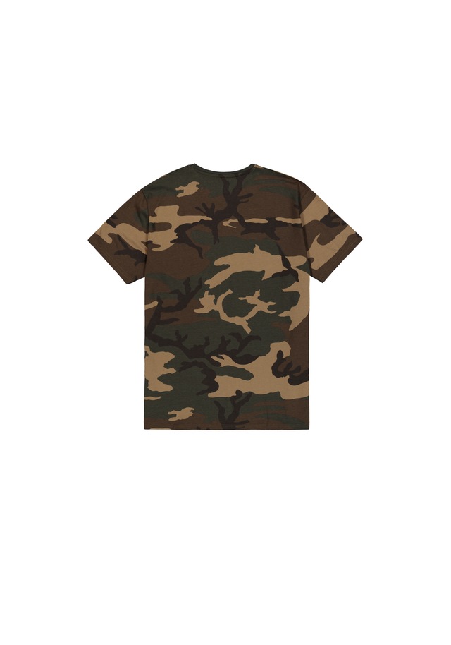 Alpha Industries T-Shirt »Basic BL Camo T-Shirt«