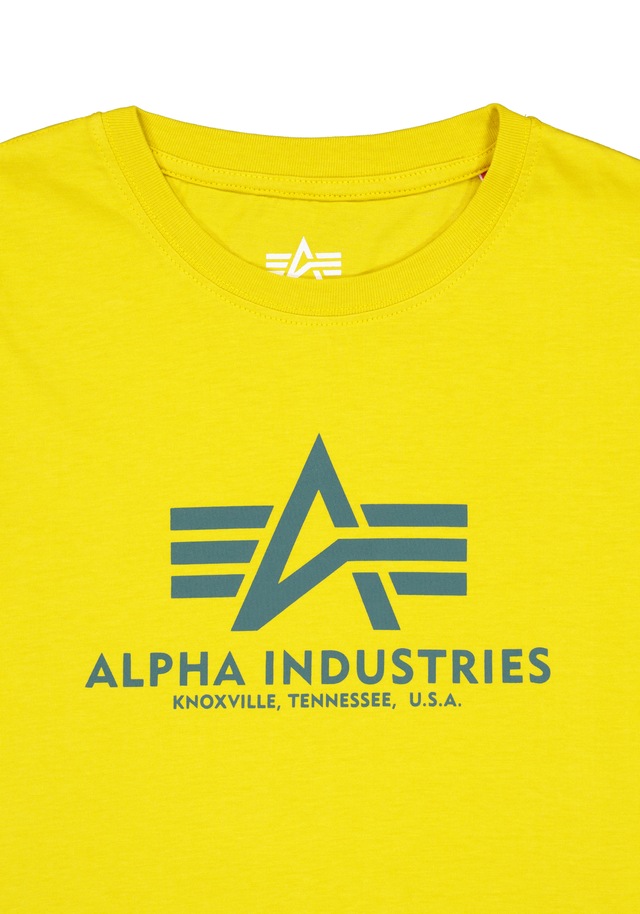 Alpha Industries T-Shirt »Basic BL T-Shirt K«