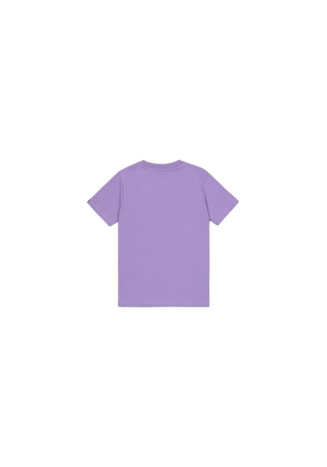 Alpha Industries T-Shirt »Basic BL T-Shirt K«