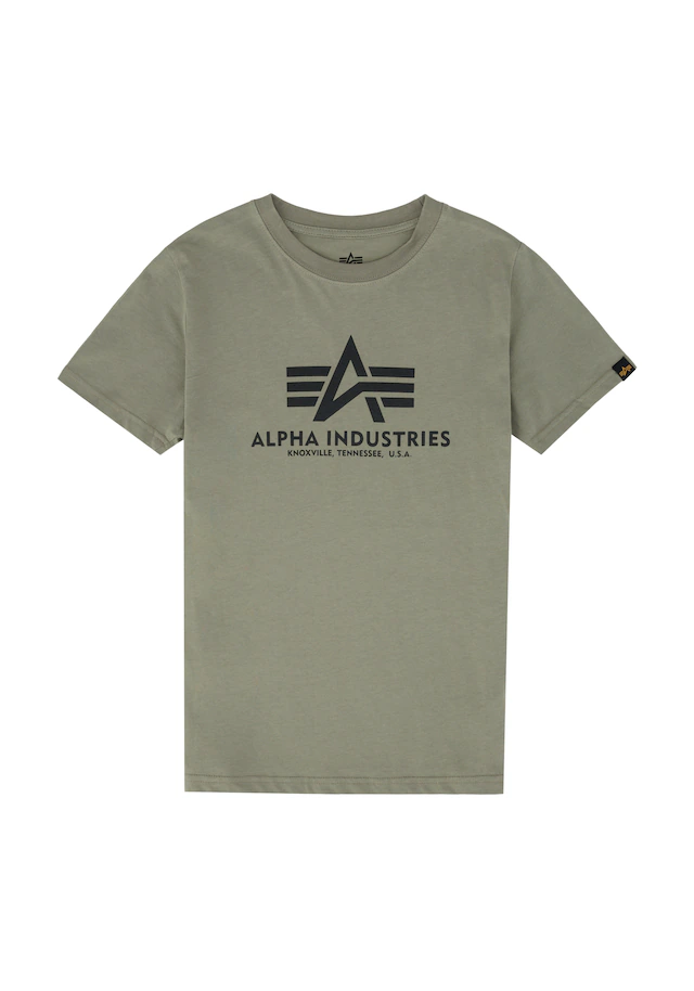 Alpha Industries T-Shirt »Basic BL T-Shirt K«