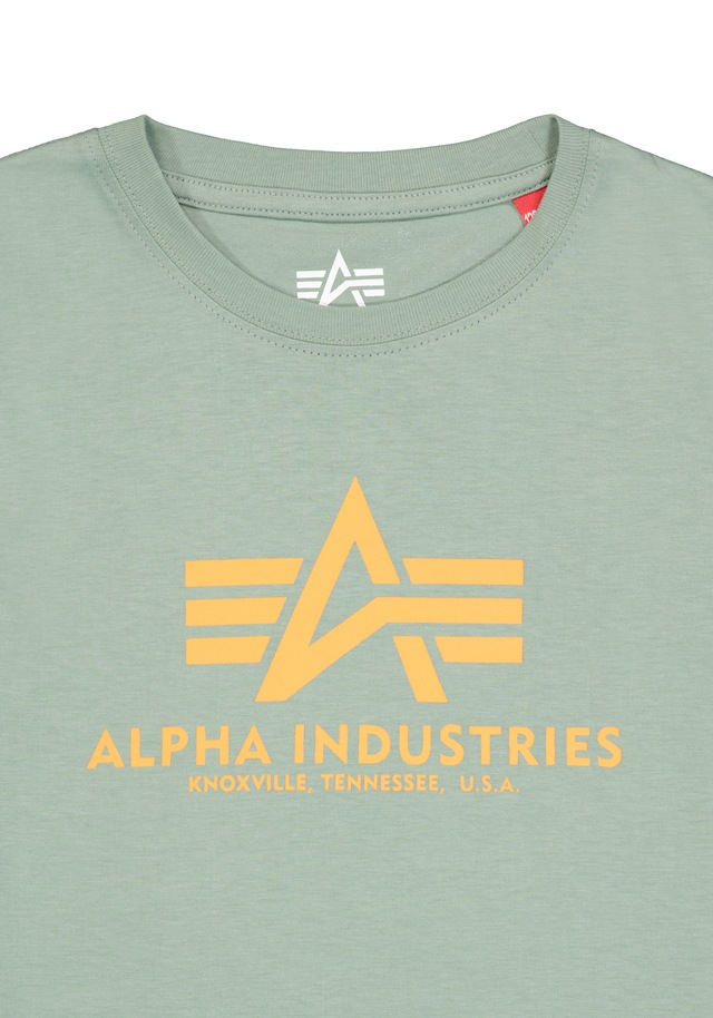 Alpha Industries T-Shirt »Basic BL T-Shirt K«