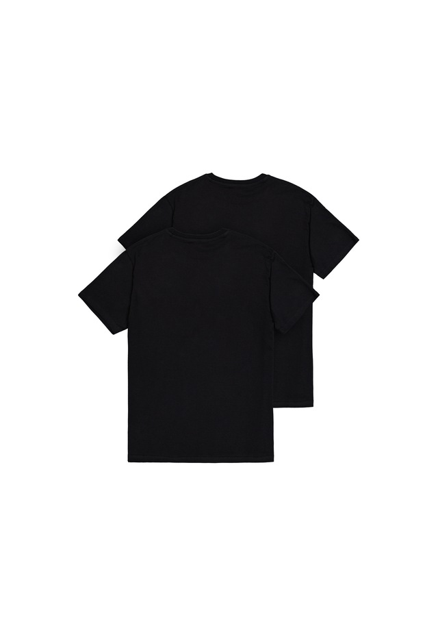 Alpha Industries T-Shirt »Basic BL T-Shirt 2-Pack«