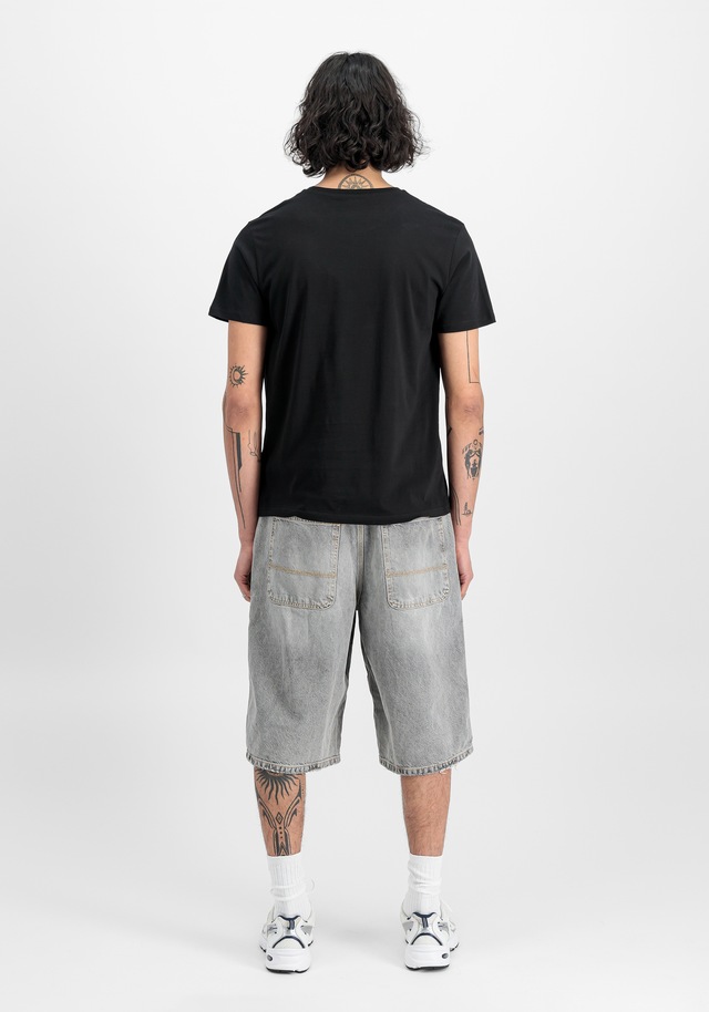 Alpha Industries T-Shirt »Basic BL T-Shirt 2-Pack«