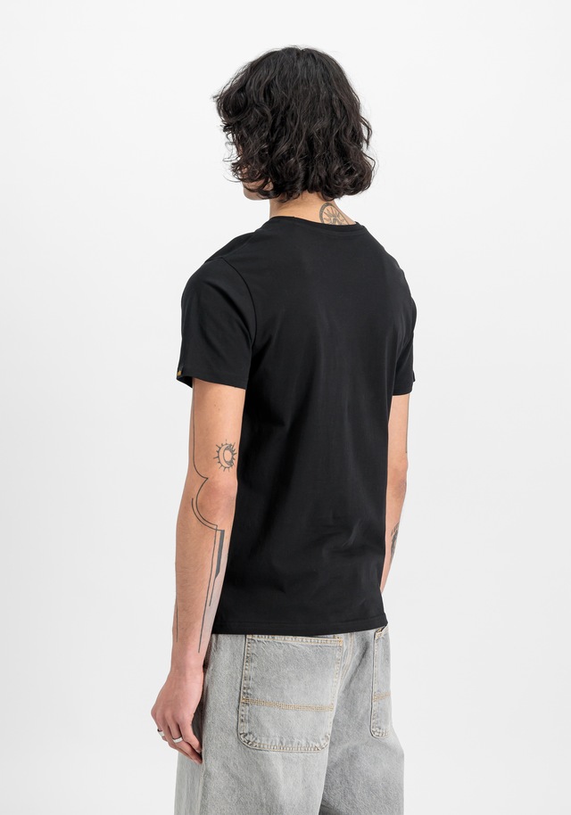 Alpha Industries T-Shirt »Basic BL T-Shirt 2-Pack«