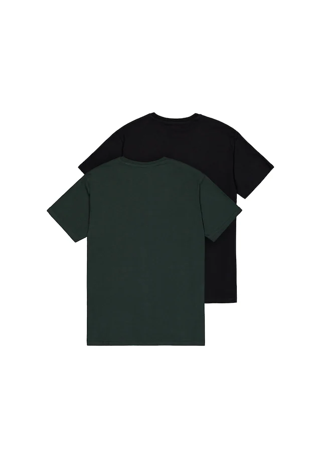 Alpha Industries T-Shirt »Basic BL T-Shirt 2-Pack«