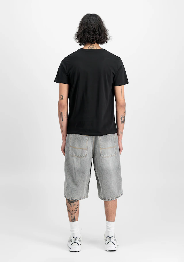 Alpha Industries T-Shirt »Basic BL T-Shirt 2-Pack«