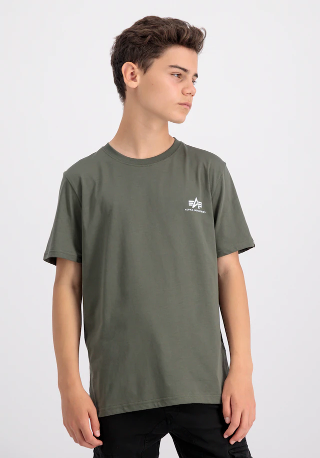 Alpha Industries T-Shirt »Basic SL T-Shirt K«