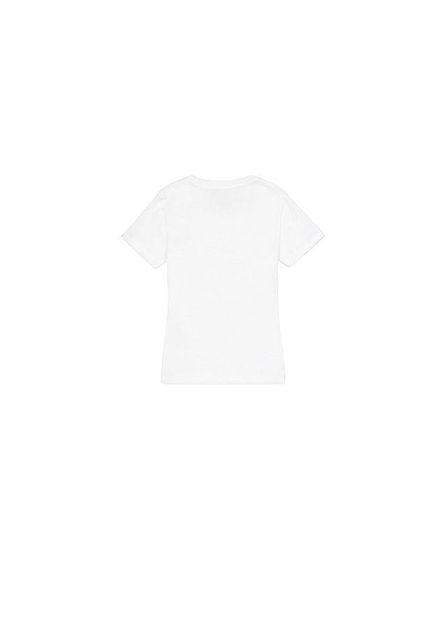 Alpha Industries T-Shirt »New Basic T-Shirt BL Glitter W«