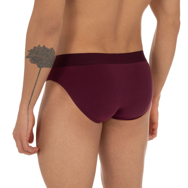 Bruno Banani Slip »Flowing« mit Logobund