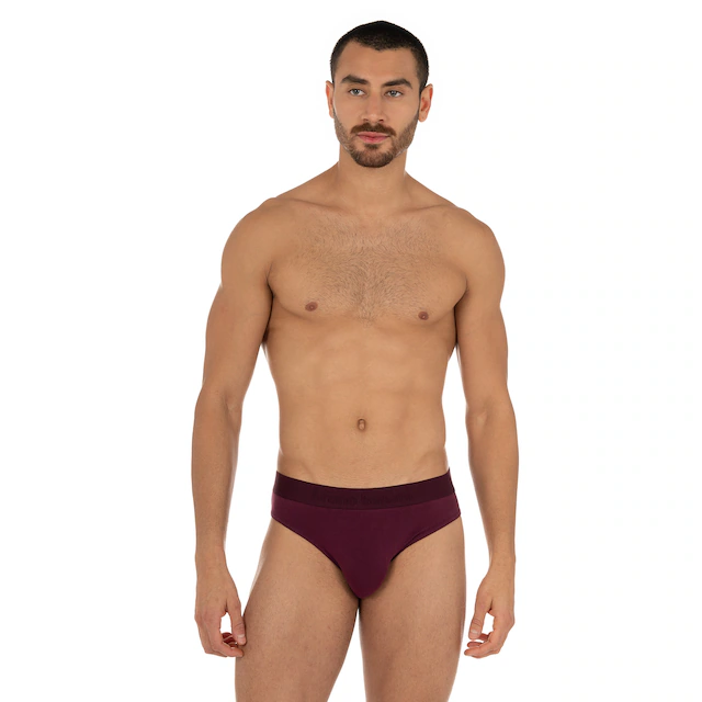 Bruno Banani Slip »Flowing« mit Logobund