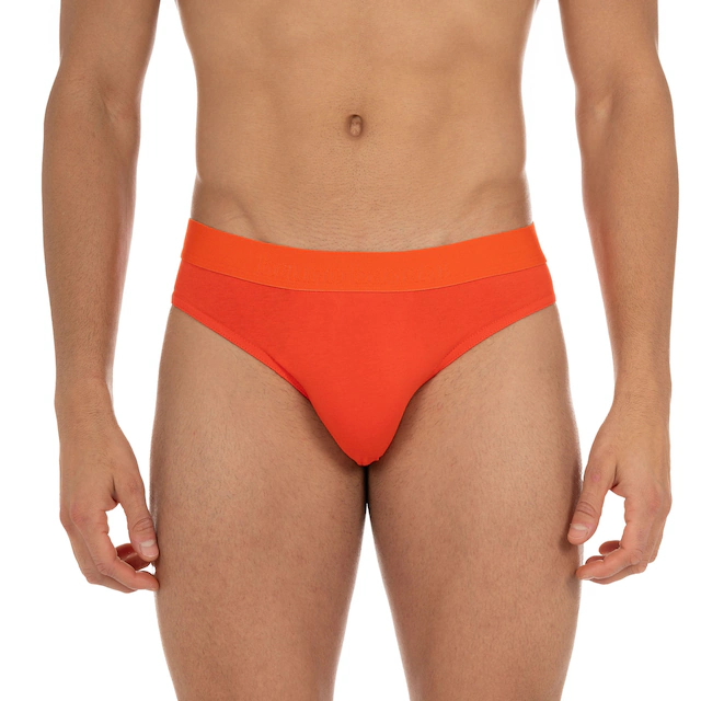 Bruno Banani Slip »Flowing« mit Logobund