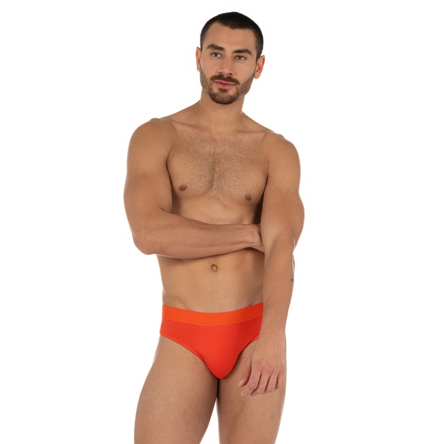 Bruno Banani Slip »Flowing« mit Logobund