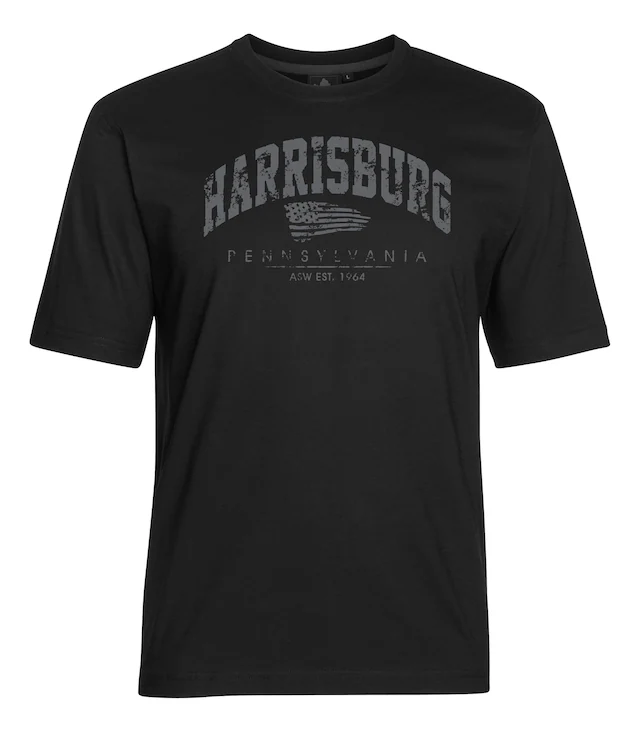 AHORN SPORTSWEAR T-Shirt »HARRISBURG« mit modischem Print