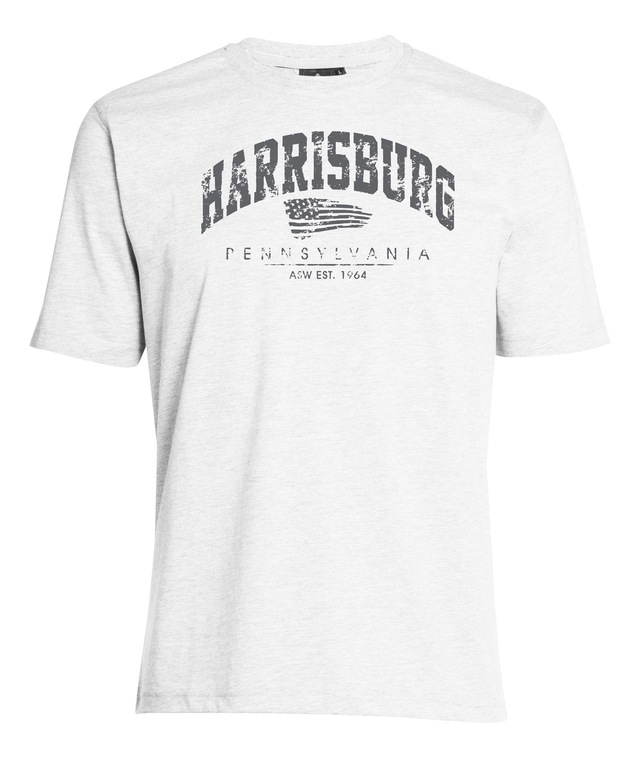 AHORN SPORTSWEAR T-Shirt »HARRISBURG« mit modischem Print