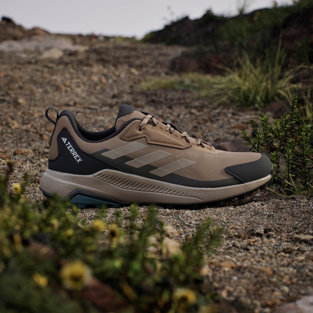 adidas TERREX Wanderschuh »ANYLANDER«