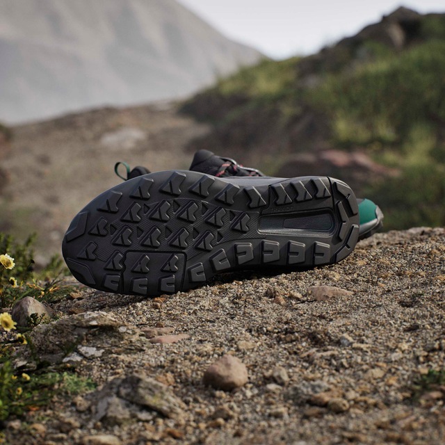 adidas TERREX Wanderschuh »ANYLANDER«