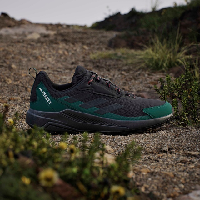 adidas TERREX Wanderschuh »ANYLANDER«
