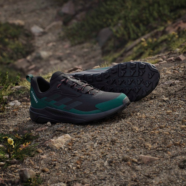 adidas TERREX Wanderschuh »ANYLANDER«