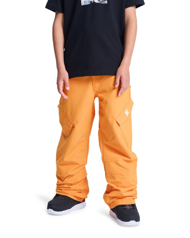 DC Shoes Snowboardhose »Banshee«