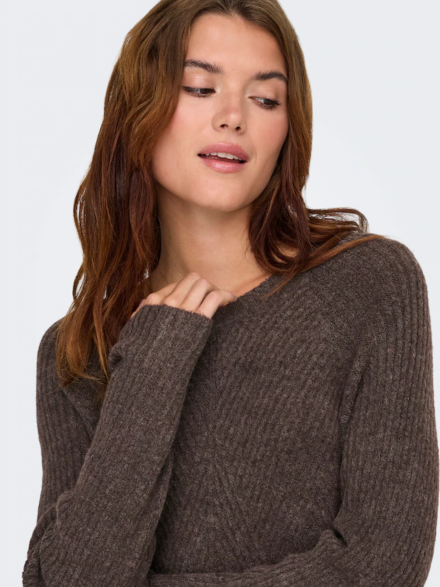 ONLY Strickkleid »ONLCAROL L/S DRESS KNT NOOS«