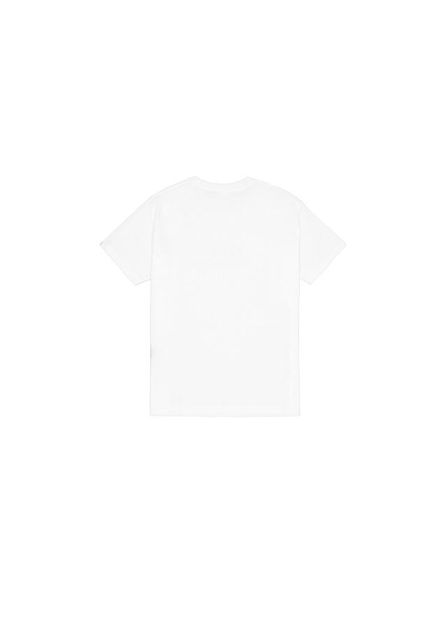 Alpha Industries T-Shirt »College Camo T-Shirt«
