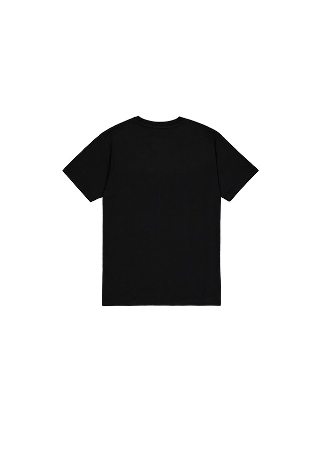 Alpha Industries T-Shirt »Basic BL Carbon T-Shirt«