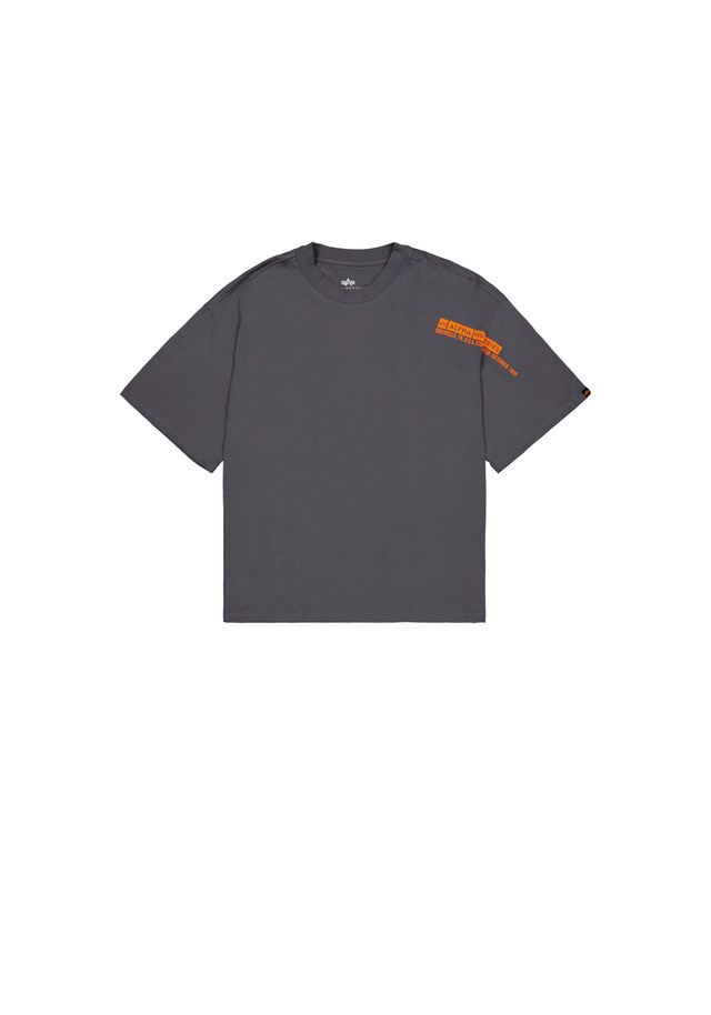 Alpha Industries T-Shirt »Flock Logo T-Shirt«