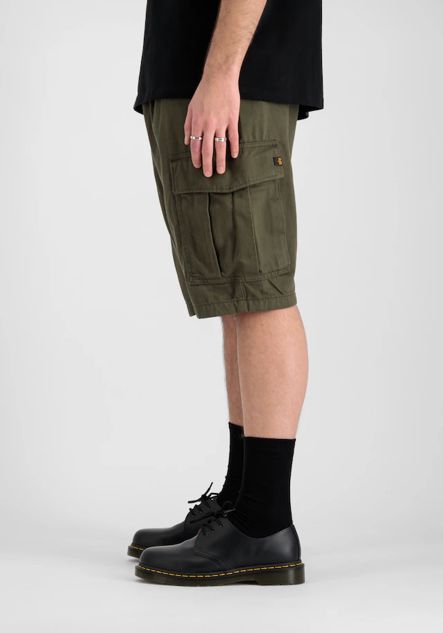 Alpha Industries Shorts »Aircraft Short«