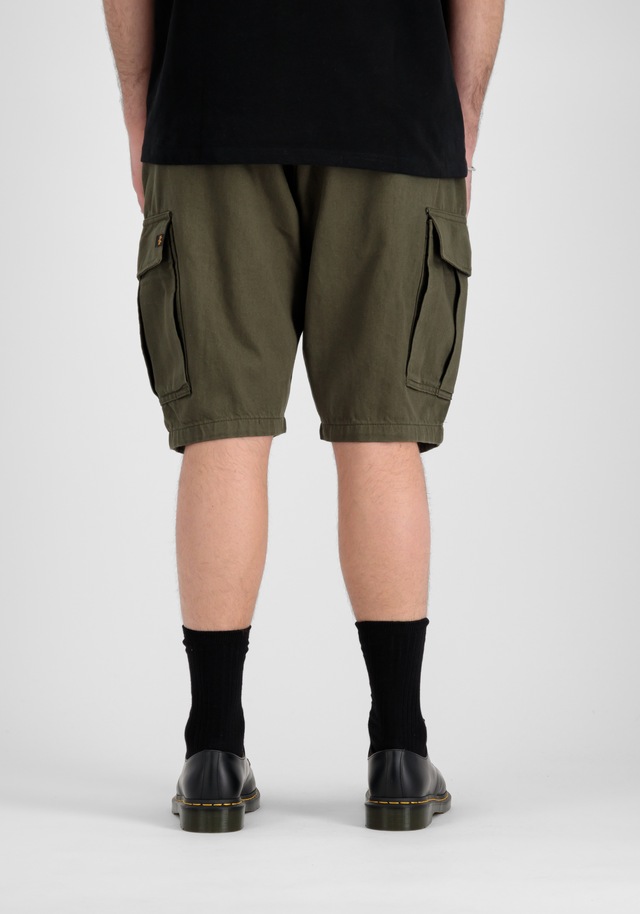 Alpha Industries Shorts »Aircraft Short«