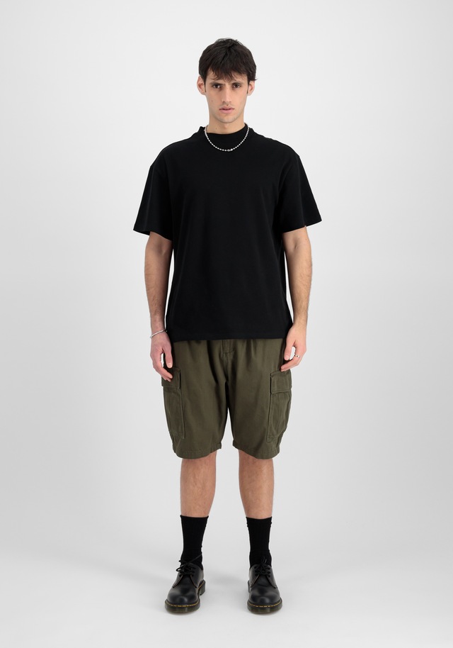 Alpha Industries Shorts »Aircraft Short«