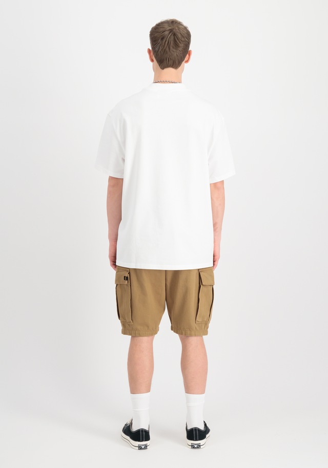 Alpha Industries Shorts »Aircraft Short«